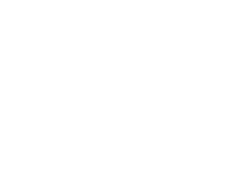 logo vertical