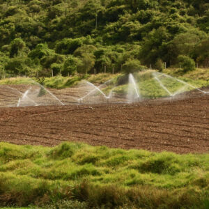 Especialidades Analíticas - Agua y Suelo Para el Campo